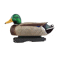Avery Outdoors PG Mallards-Harvester Pack, 1/2 dozen, 77118
