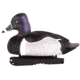 Avery Outdoors PG Ring-Necked Ducks, 1/2 dozen, Realistic Postures, 77133