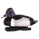 Avery Outdoors PG Ring-Necked Ducks, 1/2 dozen, Realistic Postures, 77133