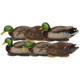 Avery Outdoors PG XD Series Mallards-Feeder Pack, 1/2 dozen, 76107