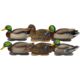 Avery Outdoors PG XD Series Mallards-Harvester Pack, 1/2 dozen, 76118