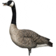 Avian X AXP Goose Decoys, Fusion Honker 6 pk, AVX-AVX9006