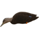 Avian X Fusion Pack AXF Ducks Decoy, Black, AVX-AVX8077