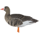 Avian X Fusion Pack AXP Specklebelly Decoy, AVX-AVX9014