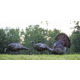 Avian X LCD Strutter Decoy, Synthetic, AVXAVX8004