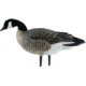 Avian X Outfitter Pack AXF Lessers Decoy, AVX-AVX9033
