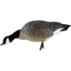 Avian X Outfitter Pack AXF Lessers Decoy, AVX-AVX9033