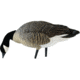 Avian X Outfitter Pack AXF Lessers Decoy, AVX-AVX9033