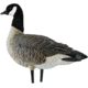 Avian X Outfitter Pack AXF Lessers Decoy, AVX-AVX9033