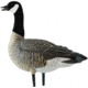 Avian X Outfitter Pack AXF Lessers Decoy, AVX-AVX9033