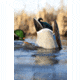 Avian X Power Butt Kicker Duck Decoy