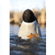 Avian X Power Butt Kicker Duck Decoy