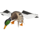 Avian X Spinning Wing Duck Decoys, AVX-AVXDP101
