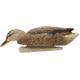 Avian X Top Flight Duck Decoy, Back Water Mallard, 6 pk, AVX-AVX8070