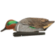 Avian X Top Flight Duck Decoy, Green Wing Teal Floater 6 pk., 8081, AVX-AVX8081