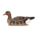 Avian X Topflight Specklebelly Floaters 4 Pack, AVX-SBGF-4PK