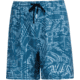 AVID Sportswear Tortuga Volley Shorts - Mens, Clearwater Abyss, Small/Medium, MS12400CWASM