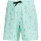 AVID Sportswear Westwinds Volley Shorts - Mens, Seafoam, Small/Medium, MS12405SFMSM
