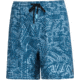 AVID Sportswear Youth Tortuga Volley Shorts - Boys, Clearwater Abyss, Small/Medium, YS12400CWASM