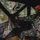 Barronett Blinds Big Cat Hunting Blind, Backwoods Camouflage BC350BW