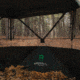 Barronett Blinds Overwatch, Portable Hunting Blind, View-Through Mesh, Silent Shooting Windows, Crater Harvest, 75in x 88in x 88in, VR400CH, Crater Harvest, 75in x 88in x 88in, VR400CH