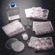 BD BioCoat Cellware, Laminin, BD Biosciences 354458 Culture Dishes 35 Mm