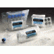 BD BioCoat Gelatin Cellware, BD Biosciences 354652 Multiwell Plates 6-Well