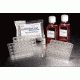 BD BioCoat HTS Caco-2 Assay Systems, BD Biosciences 354804 Replacement Parts Culture Inserts, Five Plate Kit