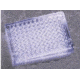 BD Falcon 96-Well Cell Culture Plates, BD Biosciences 351172 Plates With Untreated Surface, Sterile