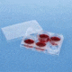 BD Falcon Cell Culture Companion Plates for Inserts, Sterile, BD Biosciences 353503