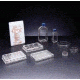 BD Primaria Treated Labware, Sterile, BD Biosciences 353813 Culture Flasks With Plug-Seal Caps 25 cm2, Canted Neck