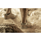 Belleville Low-Cut Mini-Mil Barefoot Activity Shoes - Mens, Coyote Multicam Arid, 7.5 US/Wide, MM004 075W