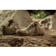 Belleville Low-Cut Mini-Mil Barefoot Activity Shoes - Mens, Coyote Multicam Arid, 7.5 US/Wide, MM004 075W