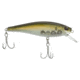 Berkley Cutter Saltwater Hard Bait, Jerkbait, Saltwater, 1/3 oz, HD Pilchard, 70, 1582307
