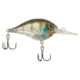 Berkley Dime Hard Baits, Crankbaits, Freshwater, 1/2 oz, Ghost Gill, 6, 1596579