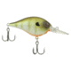Berkley Dime Hard Baits, Crankbaits, Freshwater, 1/2 oz, Killer Gill, 6, 1596578