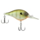 Berkley Dime Hard Baits, Crankbaits, Freshwater, 1/2 oz, Killer Gill, 6, 1596578