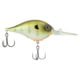 Berkley Dime Hard Baits, Crankbaits, Freshwater, 3/5 oz, Killer Gill, 10, 1596598