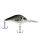 Berkley Dredger Body Shape And Weighted Bill Dives Deep, Slow Rise, 12-15, HD White Bass, 2 1/2in, 5/8oz, BHBDR14.5-HDWHB