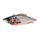 Bill Lewis Tiny-Trap Hard Bait, white Bleeding Shad, 1/8 oz, BLF-TT376