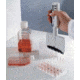 Biohit Proline Multichannel Electronic Pipettors, Variable Volume, Biohit 710-810 12-Channel Pipettors