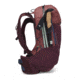 Black Diamond 30L Pursuit Backpack - Womens, Cherrywood/Ink Blue, Large, BD6800299492LRG1