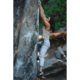 Black Diamond Ethos Pants - Womens, White Oak, Large, AP7501562019LRG1