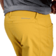 Black Diamond Valley Shorts - Mens, Amber, 32, AP75015520070321