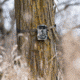 Black Gate R2K Trail Camera, Camo, One Size, BG2K0001