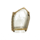 Blue Force Gear Plateminus Extra Large, Coyote Brown, Extra Large MM-PLATE-1-XL-CB