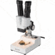 Bresser Biorit ICD 2x Stereo Microscope w/10x Eyepieces, 5802500