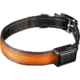 Brite Strike Technologies Rechargeable Lighted Dog Collar, Orange/Black, Small LPSCU-ORANGE-S