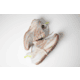 Brooks Ghost Trail Shoes - Womens