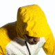 Brooks High Point Waterproof Jacket - Mens, Glacier Green/Ecru/Lemon, Extra Large, 211448320.040